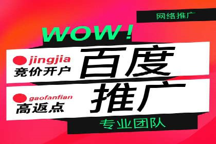 深度解析：百度推广的营销效果案例